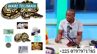 ABOU LALABY FA&Iuml;DA D'ARGENT POUR S'ATTIRER LA RICHESSE PYTHON miniyan