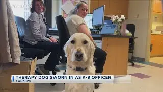Therapy Dog Sworn In As K-9 Officer