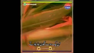 #dohryhidohry #sraiki_status #Poetry #VoiceUmat