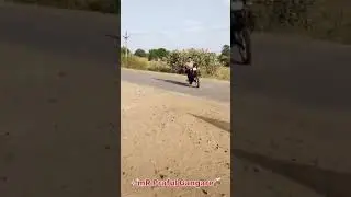 rajdoot 250 cc