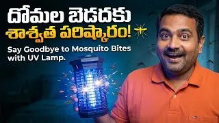 దోమల బెడదకు శాశ్వత పరిష్కారం! 🦟 Say Goodbye to Mosquito Bites with UV Lamp.