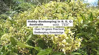 Episode 9. Bee Hive Parts that I Use   #SeriousHobbyistBeekeeper