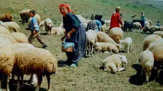 Ben O Yaylaları Unuturmuyum: ALİ ÇINAR..orjinal kayıt.