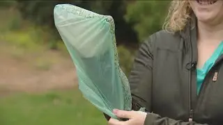 New campaign urges pet owners to help 'Keep San Diego Doody Free'