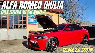 ALFA ROMEO GIULIA VELOCE 2.0 280 HP - Coś stuka w silniku ? #alfaromeo #giulia #veloce