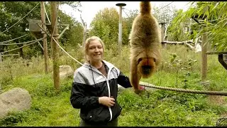 Thank You For Loving Your Zoo