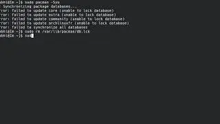 How To Fix unable to lock database error - Arch Linux