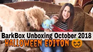 BarkBox Unboxing October 2018 with Leo and Chester