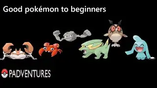 Padventures - pokes recommendations to beginners