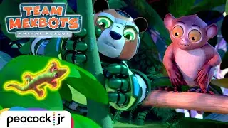 Tiny Tarsier, BIG Typhoon! | TEAM MEKBOTS ANIMAL RESCUE