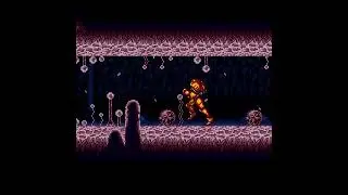 Dachora | Super Metroid