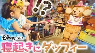 起きたらダッフィーが目の前にいるサプライズ【ディズニー①】