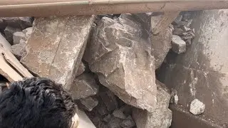 💥 How Powerful Jaw crusher Machine Work Giant in Action/crushing#jawcrusher #stonecrushing #asmr 👹