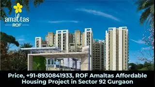 Price, +91 8930841933, ROF Amaltas Affordable Housing Project in Sector 92 Gurgaon