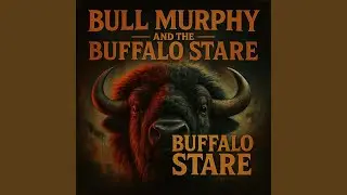 Buffalo Stare