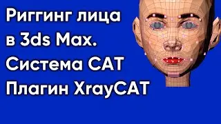 Риггинг лица в 3ds Max ❤️ Система CAT | Плагин XrayCat | Скининг лица (Skin)