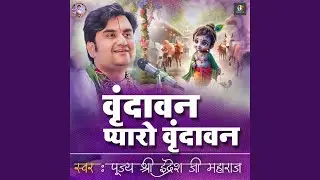 Vrindavan Pyaro Vrindavan | Pujya Shri Indresh Ji Maharaj | Vrindavan Rasamrita Indresh Ji