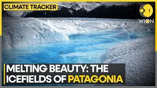 Chile: In the shadow of melting glacier | WION Climate Tracker