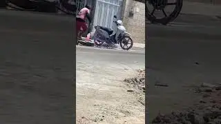 trouxe a bichinha pra lavar