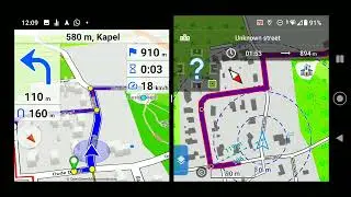 Compare autorerouting Cruiser vs Locus.
