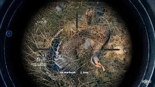 Far Cry 5 - Hunting Ducks - Open World Free Roam Gameplay (PC HD) [1080p60FPS]