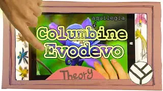 A beautiful beautiful flower: Evodevo with Molly Edwards
