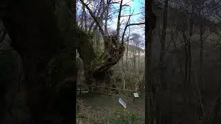 Boas pr&aacute;cticas para a visita ao patrimonio natural no Can&oacute;n do Sil - Rede Natura 2000