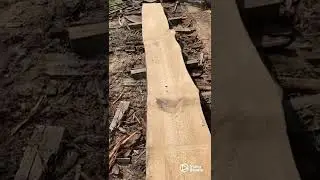 2x4&rsquo;s, Broken bands and a solar kiln