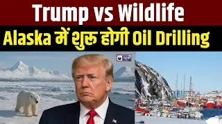 Trump Administration ने Alaska Wildlife में Oil & Gas Drilling की दी इजाज़त ! #trump #ecosystem
