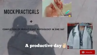 Challenge -1 || completing whole plant physiology☘ along with mock&nbsp;practical😮&zwj;💨 || A Productive day