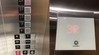 BRAND NEW & BEAUTIFUL Schindler 3300 XL Traction Elevators @ Cambria Hotel, Downtown Columbia, SC
