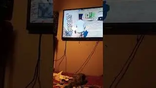 Secret FIB Buffalo car location and Gta v