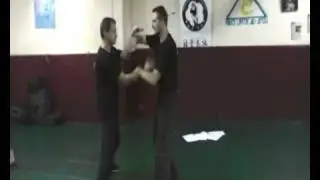 wing chun israel ( chi sao, lat sao 5)