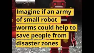 Research developing sensors for &lsquo;worm robots&rsquo; to be used after disasters