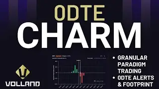 0DTE Charm - Глубокое погружение в парадигмы трейдинга - Позиционирование дилера - След - Практические данные Volland