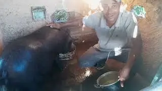 vinda na ro&ccedil;a essim muito bom ja ta perto de pari