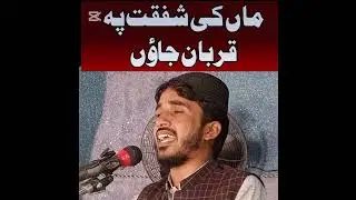ماں شفقت کمال ہے قاری سلیمان صدیق اوڈ صاحب 