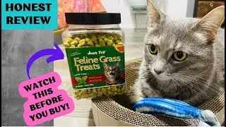 My Honest Review of Just Try Cat treats