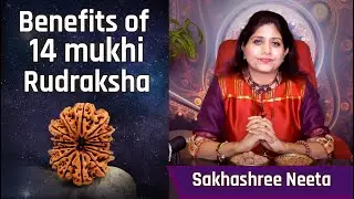 14 Mukhi Rudraksha For Hanuman | Get Mastery Over Senses With 14 mukhi Rudraksha