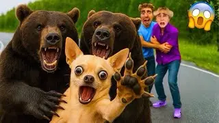 BEARS TRIED TO STEAL OUR DOG?! 😱 (Caught on Camera)