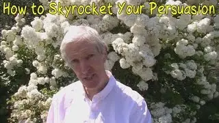 How to Improve Your Results