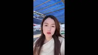 Big Fish Strike at Sea LIVE | 海で大物ヒット生中継 2026-01-11 12:18:39