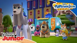 The Doctor's Office 🚧 | Pupstruction 🦺 | Disney Junior MENA