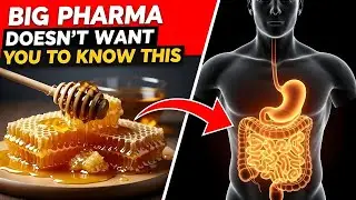 HONEY After 65 The Irreversible Gut Changes No One Warns You About