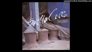 SaltaCello & Stuttgart Chamber Orchestra - No more tears