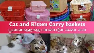 Cat and Kitten Carry baskets || பூனைகளுக்கு பயன்படும் கூடைகள் 🐈