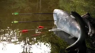 3D lukostřelba - MČR Sedmihorky 2016