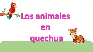 Quechua Chanka: Clase 4, los animales