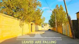 Ellena - Leaves Are Falling