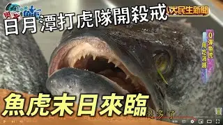 日月潭魚虎末日來臨 打虎隊大開殺戒 |【水中的奧客魚虎】| 2022092101 @gtvnews27